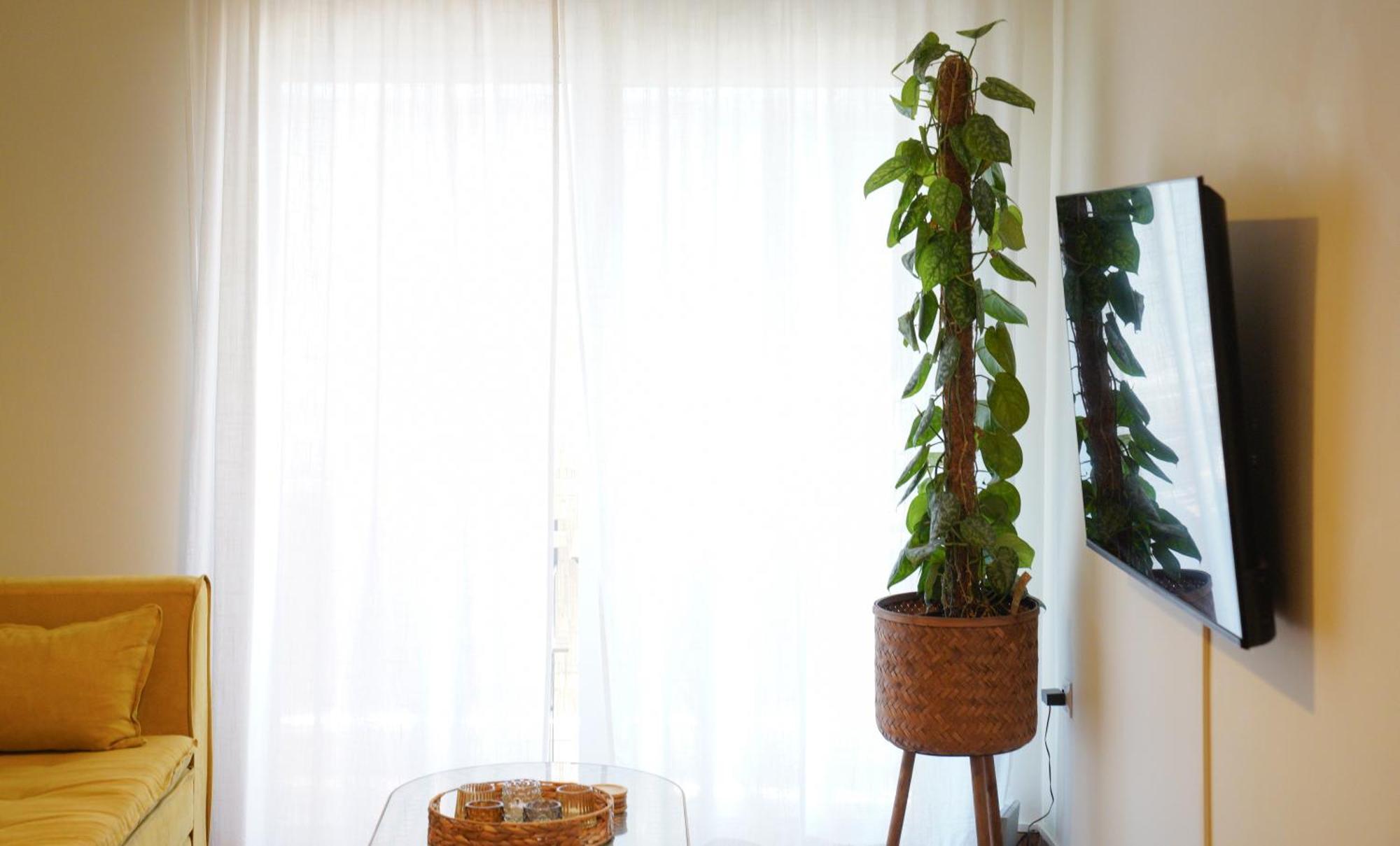 Bright Athens Studio Экстерьер фото